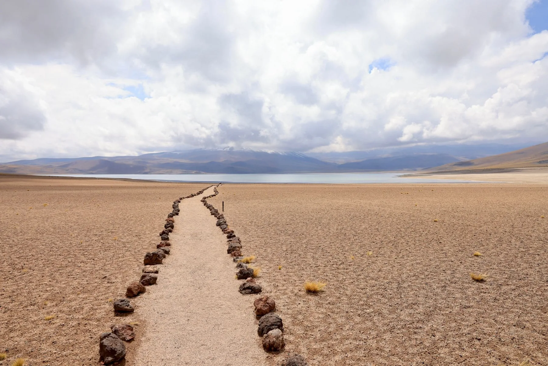 Piedras Rojas & lagoas andinas