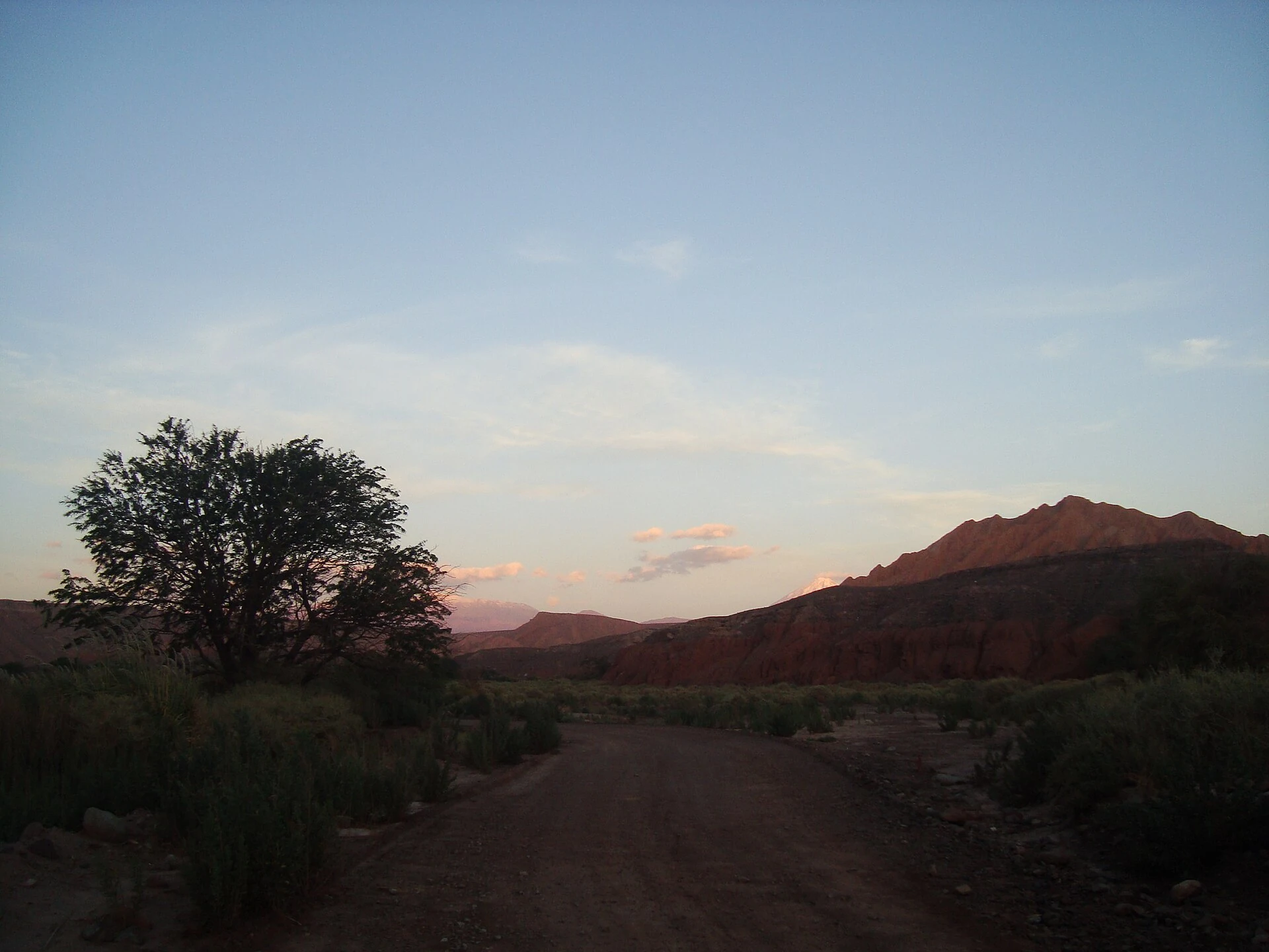 Atacama de bicicleta