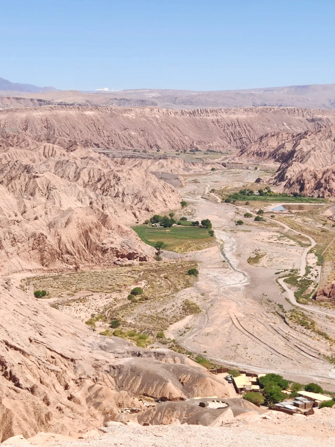 Atacama en Familia