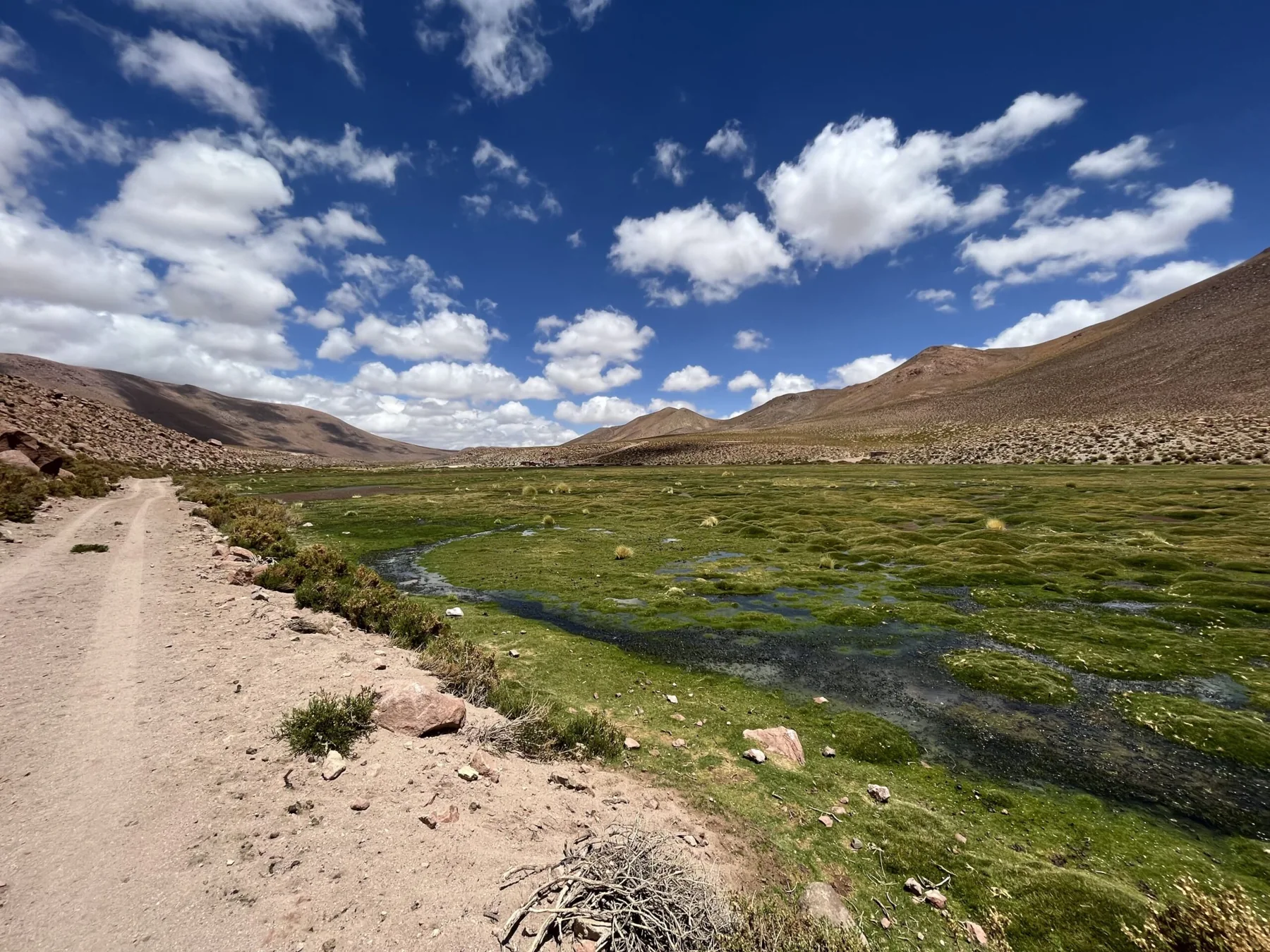 Machuca–Tatio