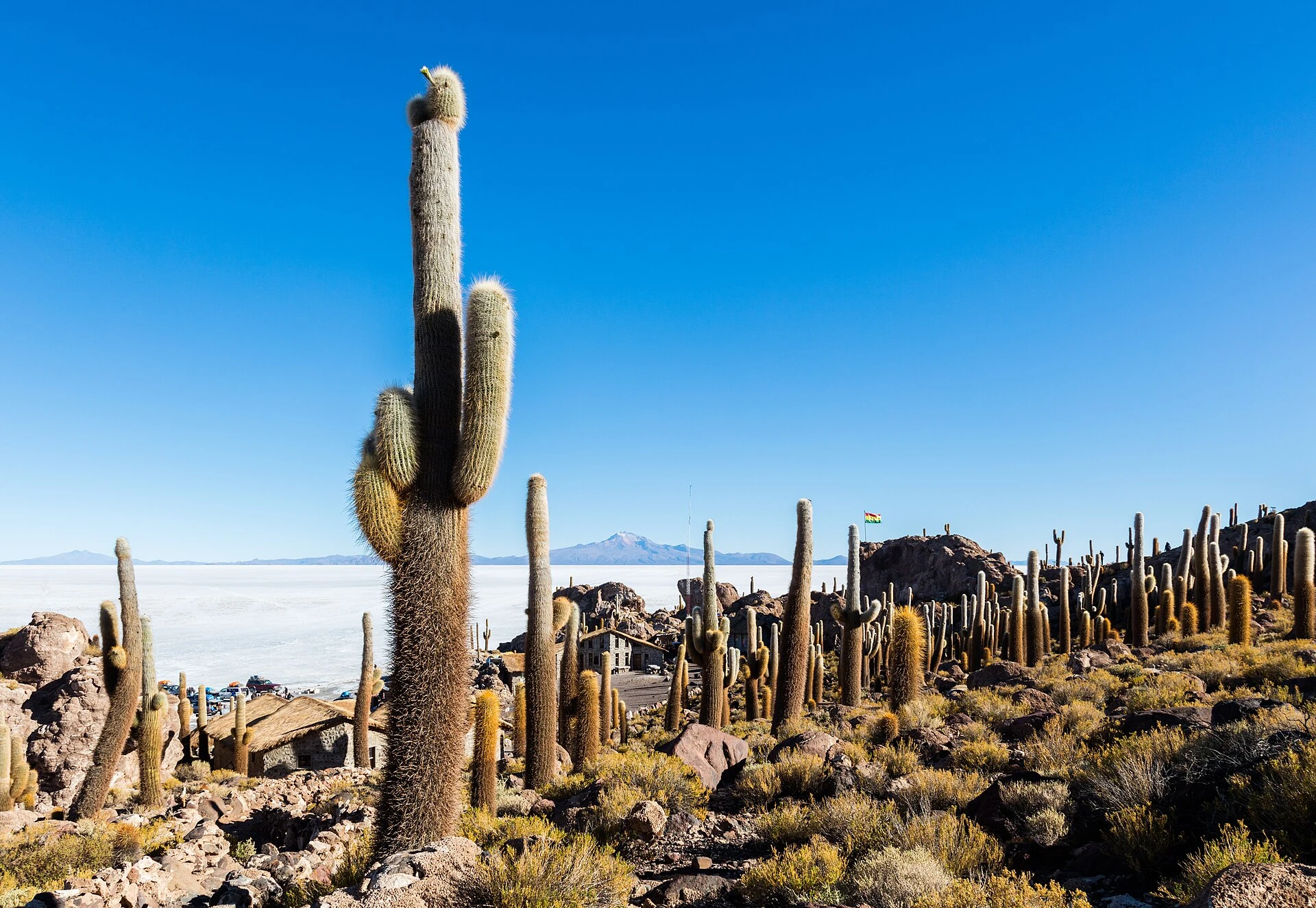 Uyuni · cinco dias